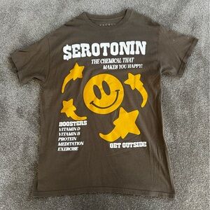 Brown Serotonin Pacsun Tshirt